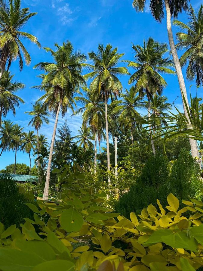Elena Garden Resort And Restaurant تريكونامالاي المظهر الخارجي الصورة