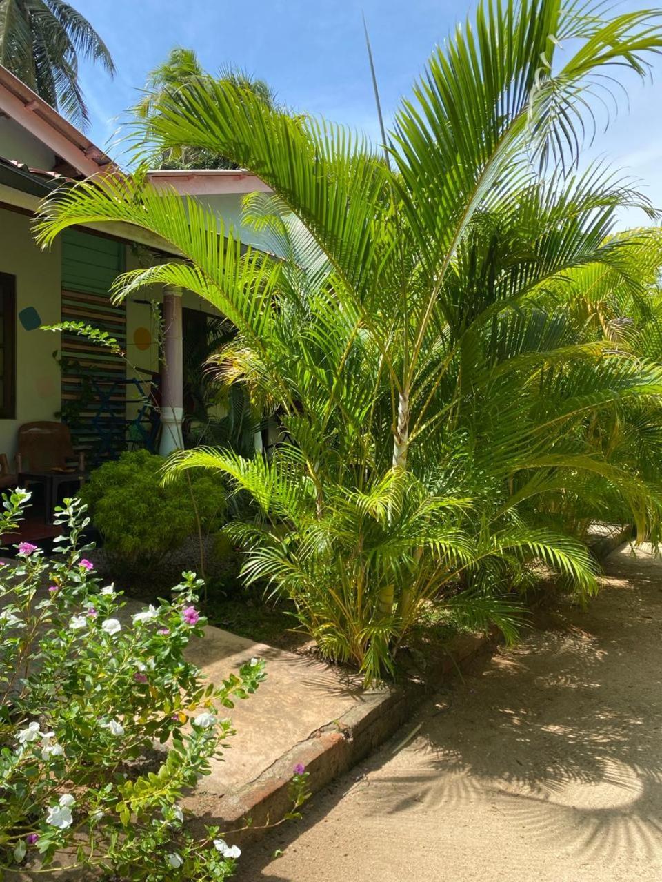 Elena Garden Resort And Restaurant تريكونامالاي المظهر الخارجي الصورة