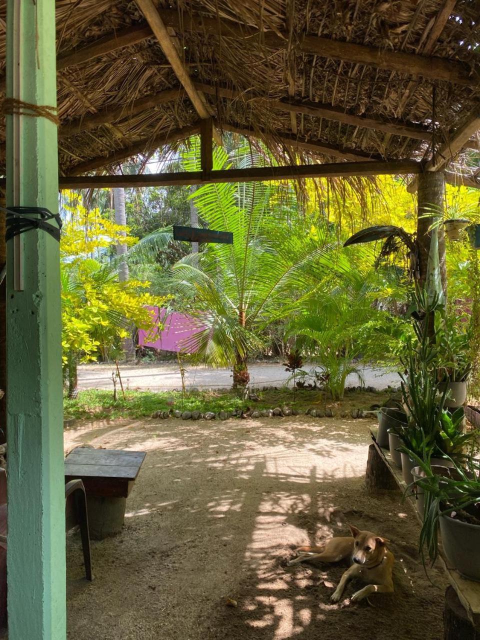 Elena Garden Resort And Restaurant تريكونامالاي المظهر الخارجي الصورة