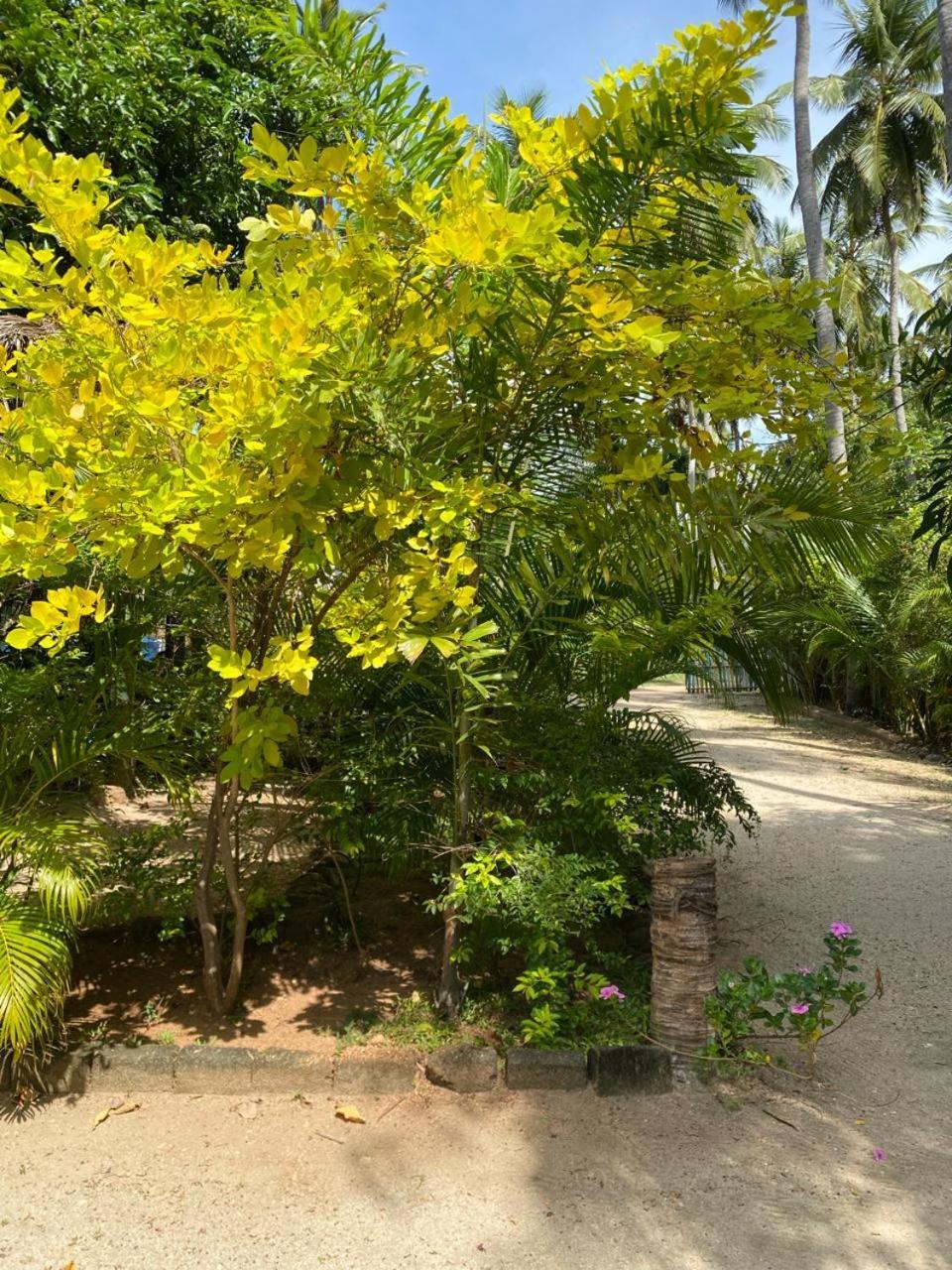 Elena Garden Resort And Restaurant تريكونامالاي المظهر الخارجي الصورة